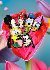 Mickey & Friends Bundle Hair Clips