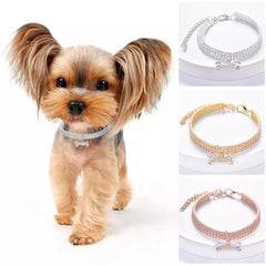 Bling Bone Pet Collar