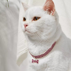 Bling Bone Pet Collar
