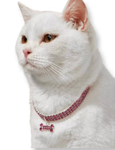 Bling Bone Pet Collar