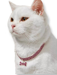 Bling Bone Pet Collar
