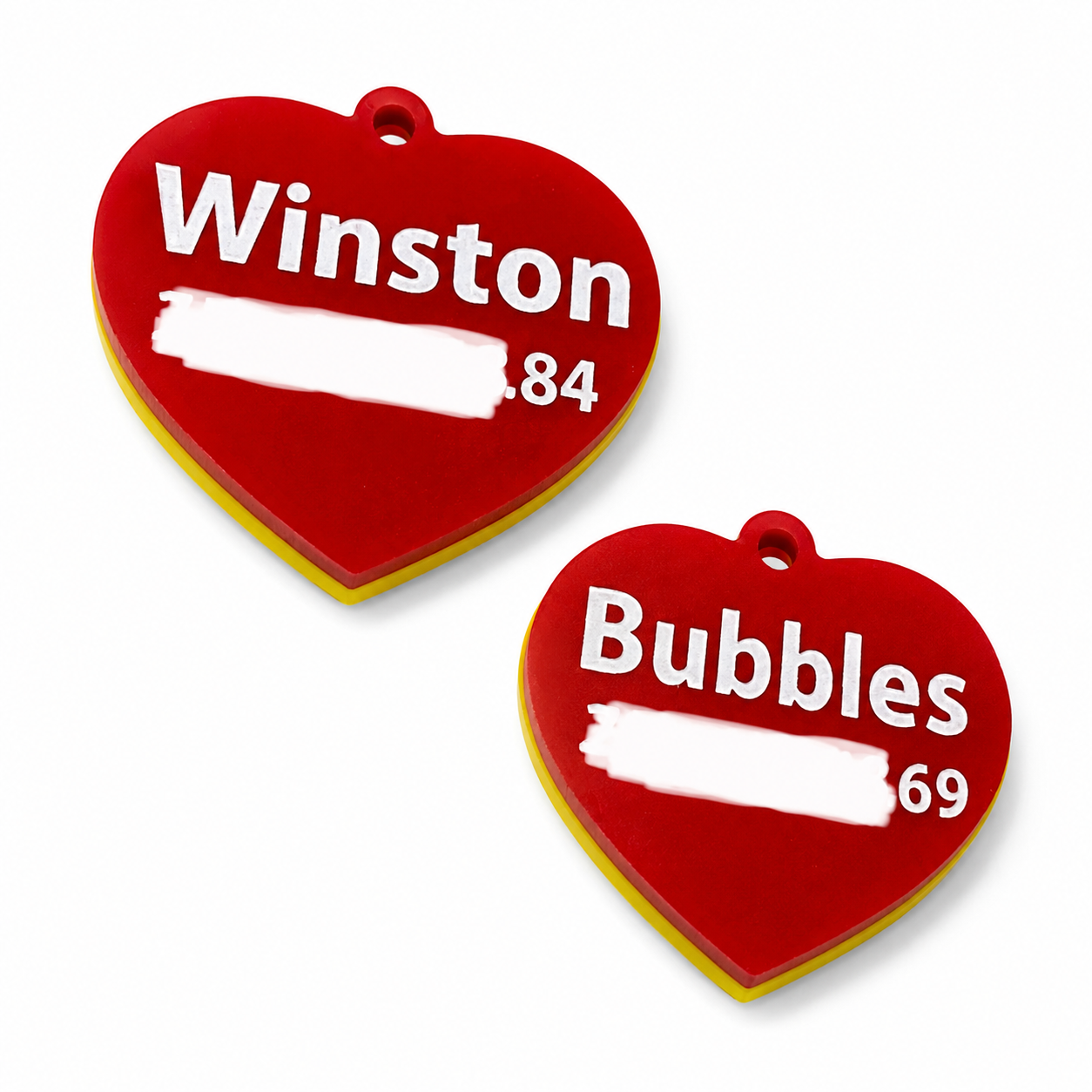 Custom Pet Tag