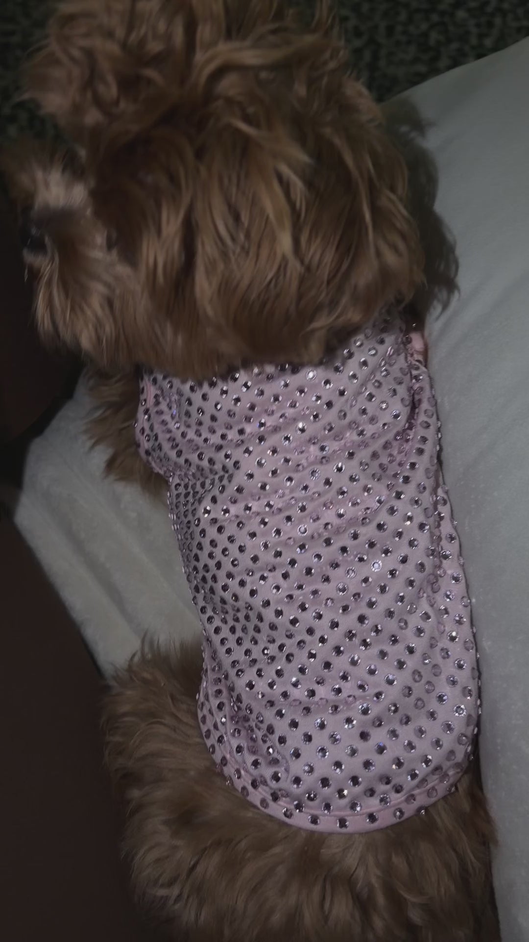 Bling Pet Shirt Rhinestone Dog Clothing