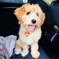 Heart Custom Pet Tag